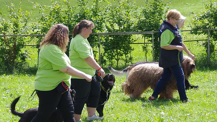 Tierheimfest in Kronach. Foto: Marco Meißner