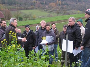 Jan Röger vom AEL Bad Neustadt und Wasserberater Rainer Schubert (von links) informierten interessierte Landwirte auf den Felder von Gerhard Fella in Seeshof über Zwischenfrüchte, die nach der Ernte 2019 in Streifen angelegt wurden.Hilmar Ruppert