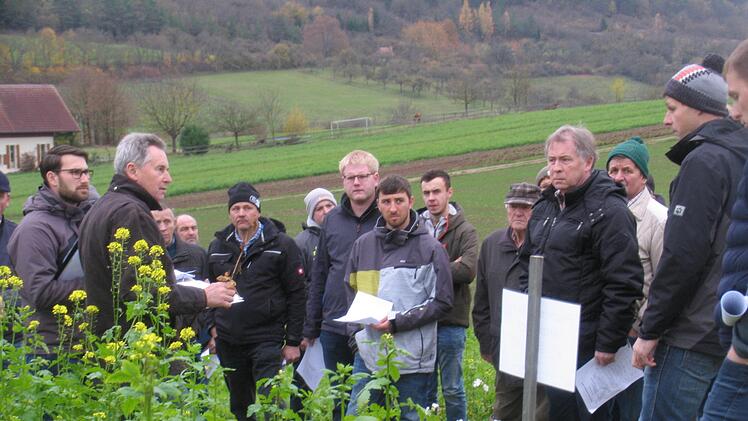 Jan Röger vom AEL Bad Neustadt und Wasserberater Rainer Schubert (von links) informierten interessierte Landwirte auf den Felder von Gerhard Fella in Seeshof über Zwischenfrüchte, die nach der Ernte 2019 in Streifen angelegt wurden.Hilmar Ruppert