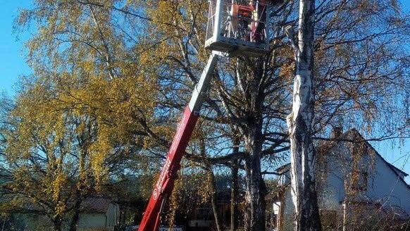 Sicherungs- oder Pflegemaßnahmen wie hier im Friedhof Eichelberg gehört zu den Aufgaben der Bauhofmitarbeiter. Foto: Christian Raehse, Bauhof Ebern
