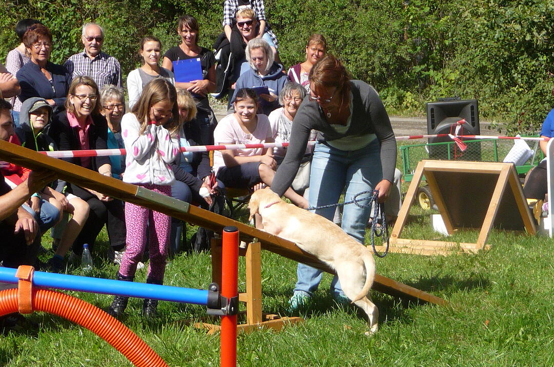 19.8.2017 Tierheimfest Kulmbach