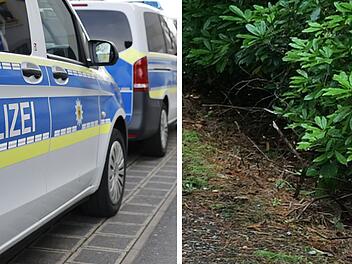 Nürnberg: Mann tot in Gebüsch gefunden - sein Alter macht die Polizei stutzig