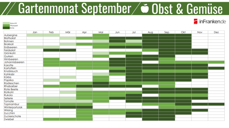 Obst und Gemüse im September