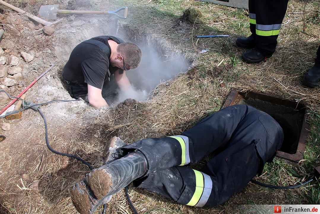 Hunderettung in Seßlach