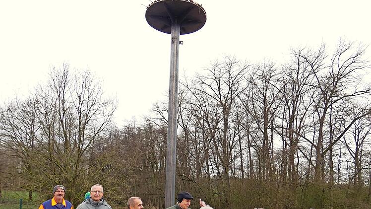 Der erste Brutplatz für Störche wurde in einer Gemeinschaftsaktion am Neuenmarkter Bauhofgelände geschaffen.