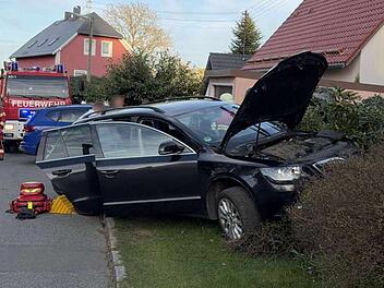 Allergischer Imker wird von Biene gestochen - und baut dann einen Unfall