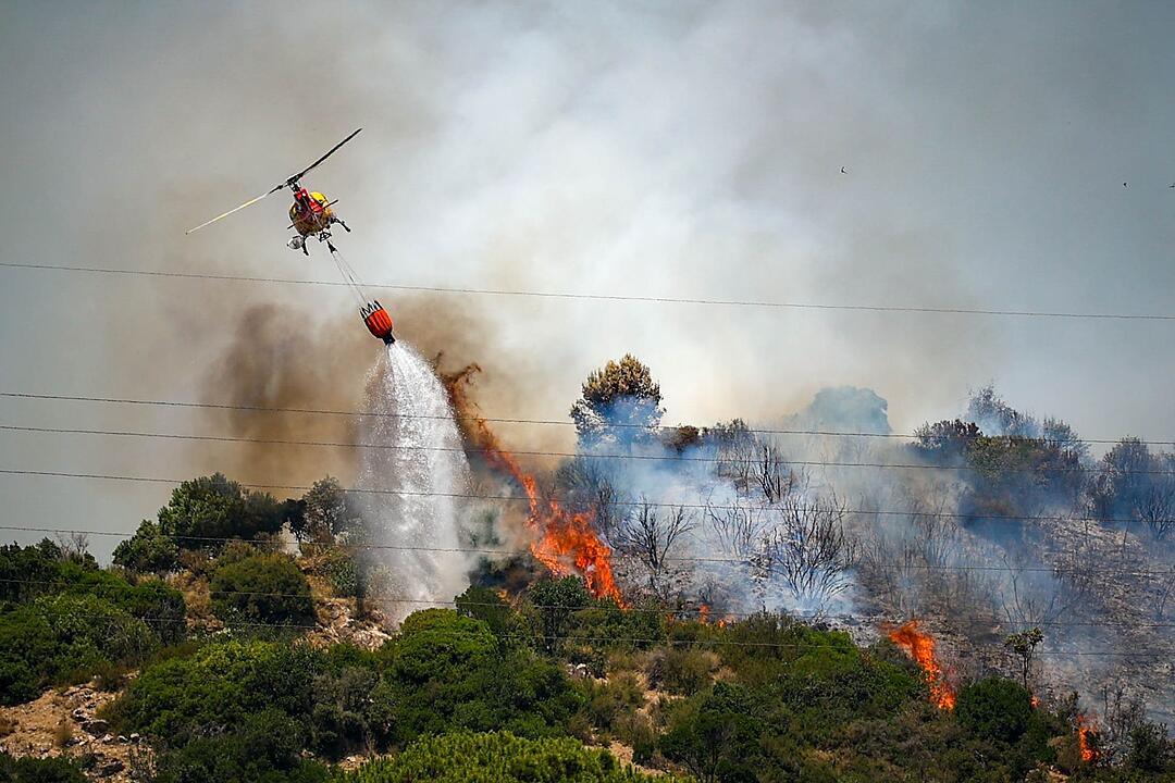 Waldbr&auml;nde in Spanien