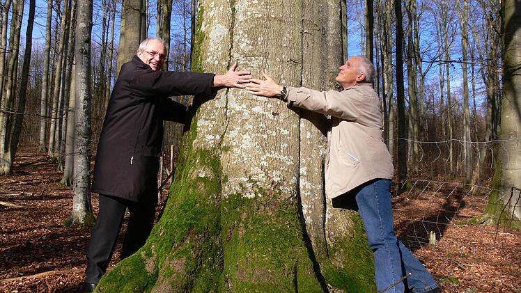 Anfang 2007 begann Landrat Günther Denzler (l. mit dem früheren Forstamtsdirektor Georg Sperber) sich für einen Nationalpark im Steigerwald einzusetzen. Ein erstes Schutzgebiet von 775 Hektar hat das Landratsamt jetzt auf oberfränkischer Fläche ausgewiesen.  Archivbild Michael Wehner