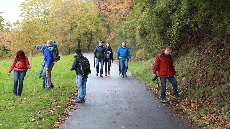 Unterwegs von Ortspitz nach Mittelehrenbach Foto: Franz Galster