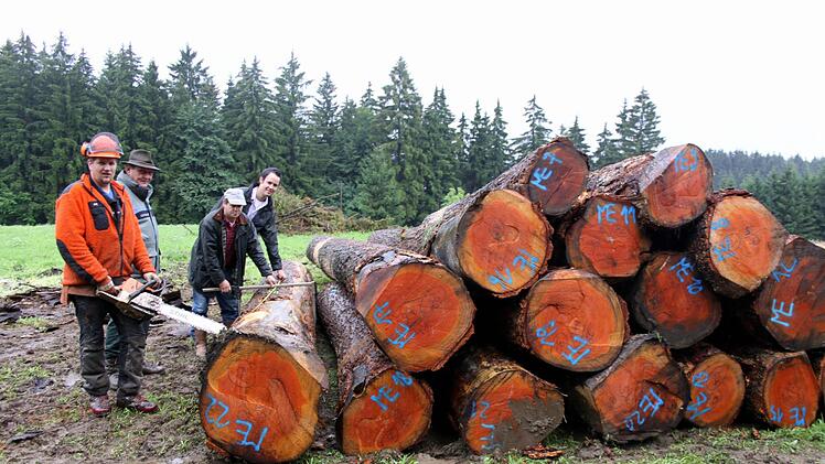 Die Holzvermarktung gehört zu den wichtigsten Aufgaben der Waldbesitzervereinigungen. Zwischen der Waldbesitzervereinigung Frankenwald und der WBV Pressig-Rothenkirchen gibt es nun Streit. Foto: Archiv