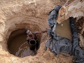 Klimawandel k&ouml;nnte Weidefl&auml;chen verknappen