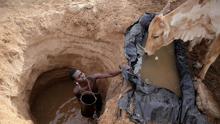 Klimawandel k&ouml;nnte Weidefl&auml;chen verknappen