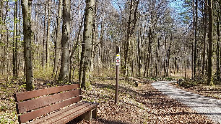 Dann geht es leicht bergauf. Entlang des Weges gibt es zahlreiche Bänke. Foto: Ronald Heck