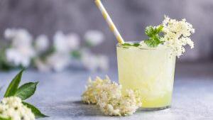 Holunderbl&uuml;tenlimonade