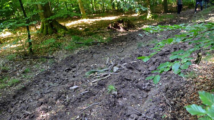 Spuren der Baumfällaktion: Der Harvester hat tiefe Furchen im Wald der Seele hinterlassen.Peter Rauch