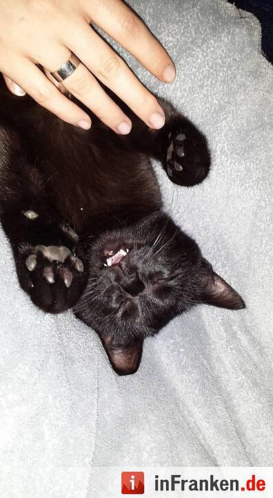 Foto: Martina Kürzdörfer