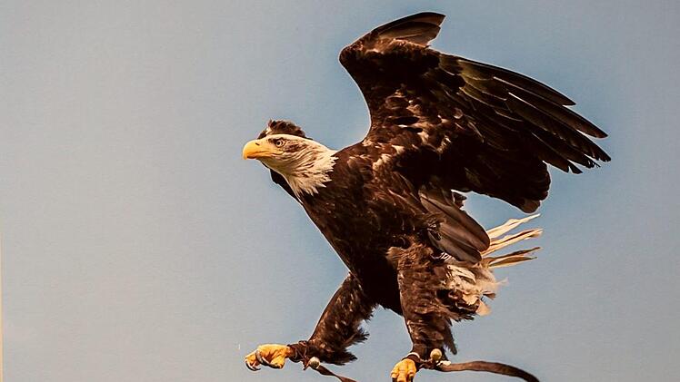 Impressionen aus der Ausstellung    Foto: Richard Sänger