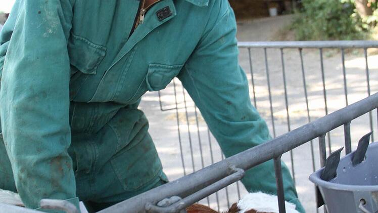 Carola Rudingsdorfer Foto: Gerda Völk