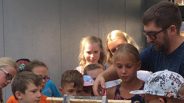 In einem Schaukasten konnten die Ferienprogramm-Kinder die Honigbienen beobachten. Foto: Claudia Dorn