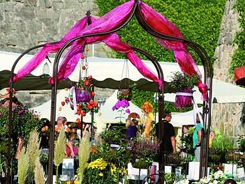 Die Rosenmesse findet in diesem Jahr zum achten Mal statt. Foto: Archiv