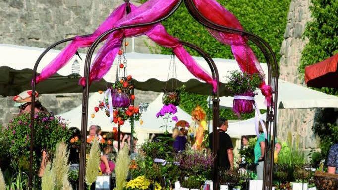 Die Rosenmesse findet in diesem Jahr zum achten Mal statt. Foto: Archiv