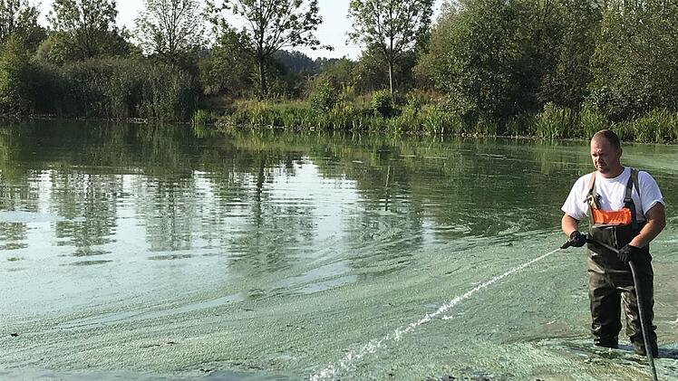 Erst wird gespritzt, dann gesaugt. Foto: Sonny Adam