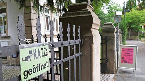 Die Tage der K.A.T.Z.e am Stadtgraben 11 sind bald gezählt, der Mietvertrag läuft Ende des Jahres aus.