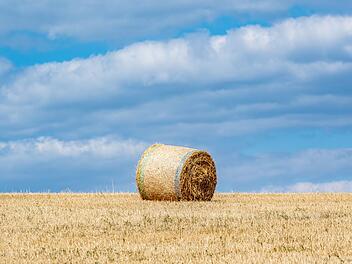 Herzogenaurach: 15-J&auml;hriger setzt Strohballe in Flammen - Feuerwehr verhindert Schlimmeres