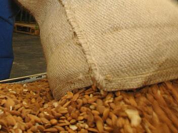 Kaufland ruft eine Charge Mandeln zurück: In dem Produkt wurden Salmonellen gefunden - vom Verzehr wird dringend abgeraten.   Symbolbild: Wolfgang Langenstrassen dpa