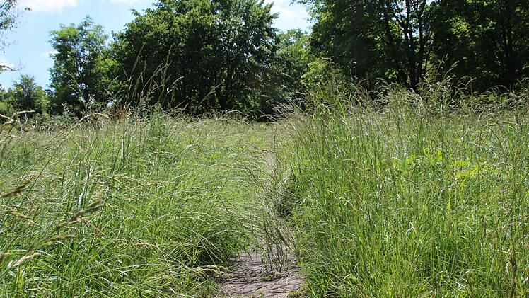 Der Weg von den früheren Umkleidekabinen zum ehemaligen Becken. Thomas Malz