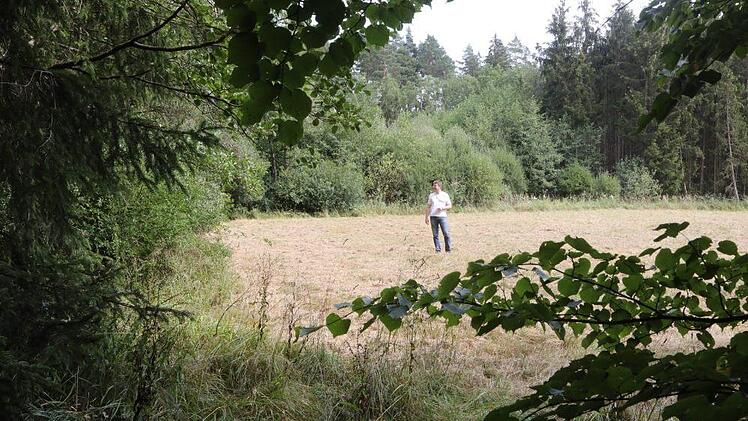 Gemähte Wiese in der Aue Foto: Barbara Herbst