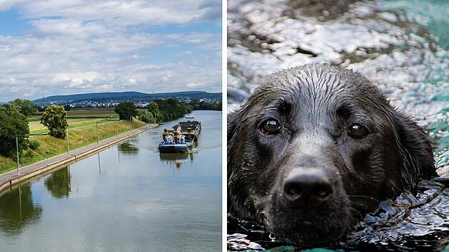 Hund l&ouml;st Rettungsaktion aus Main-Donau-Kanal in F&uuml;rth aus