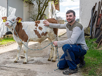Metzger findet Ehering in Pansen