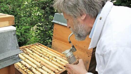 Mit einem Smoker vertreibt Harald Kuhn aus Zeil die Bienen, so dass er sich dem Volk ungefährdet nähern kann.  Fotos: Katja Kölbl