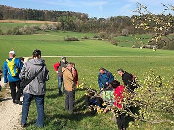 Kreative Entdeckungen am Wegesrand: Mitglieder einer Wandergruppe erstellen  "Landart", kleine Kunstwerke aus Blumen, Pflanzen oder Steinen. Die FSV-Wanderführer wollen mit der Vielfalt an Themen- und Erlebniswanderungen  punkten.  Foto: Herbert Herlitz