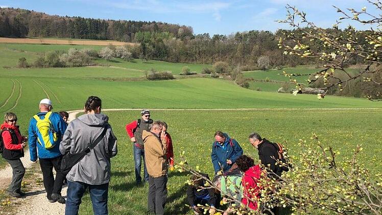 Kreative Entdeckungen am Wegesrand: Mitglieder einer Wandergruppe erstellen  "Landart", kleine Kunstwerke aus Blumen, Pflanzen oder Steinen. Die FSV-Wanderführer wollen mit der Vielfalt an Themen- und Erlebniswanderungen  punkten.  Foto: Herbert Herlitz