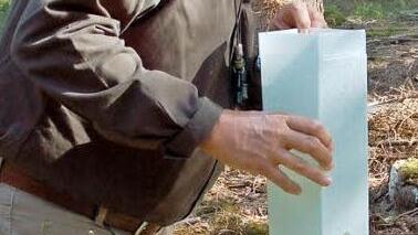 Albert Schrenker kontrolliert den Einzelschutz einer jungen Douglasie. Fotos: Rainer Lutz