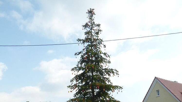 Der Osterbaum in Morschreuth wird geschmückt. Foto: Thomas  Weichert