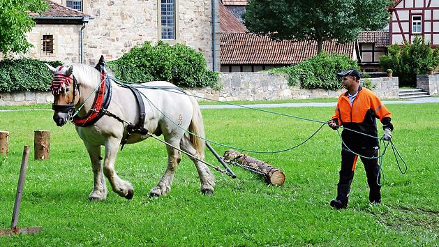 Holzr&uuml;cken mit Pferden ist einer der Programmpunkte am Sonntag, 20. Juni im Freilandmuseum Fladungen.
