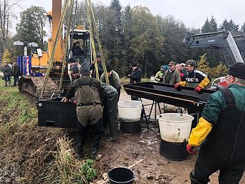 Die Fischer aus Adelsdorf und Aisch vollbrachten beim Abfischen des Hofsees volle Teamleistung. Fotos: Johanna Blum