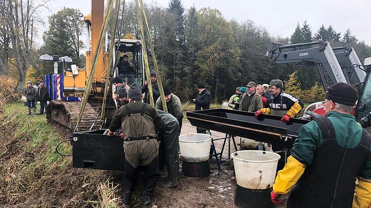Die Fischer aus Adelsdorf und Aisch vollbrachten beim Abfischen des Hofsees volle Teamleistung. Fotos: Johanna Blum