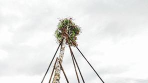 Pfingstbäume aufgestellt