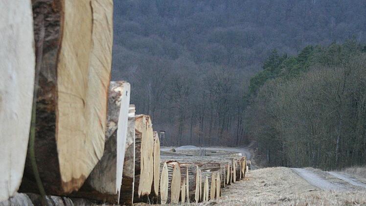 Der Wertholzplatz bei Iphofen. Fotos: Archiv (Sabine Paulus)