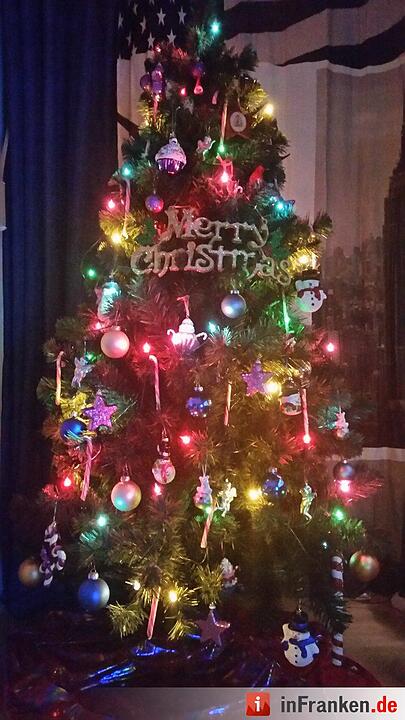 Weihnachten in Franken: Die Christbäume unserer Leser