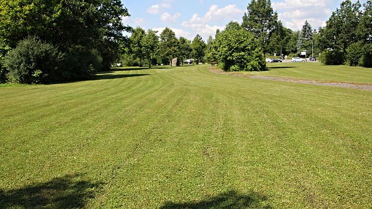 Hier aufd er Wiese an der Gymnasiumstraße (mit Gedenkstein im Hintergrund) soll das Minispielfeld aufgebaut werden. Foto: Helmut Will