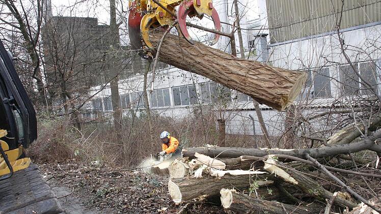 Foto: Josef Hofbauer