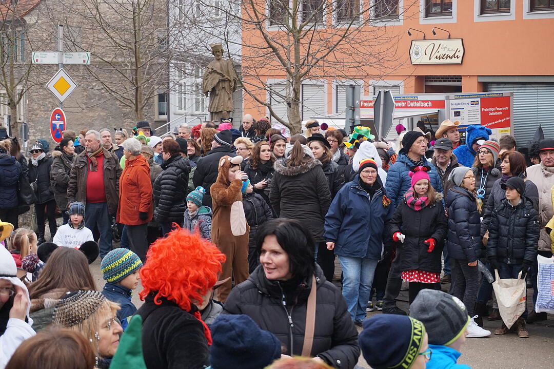 Landkreisfaschingszug 2015