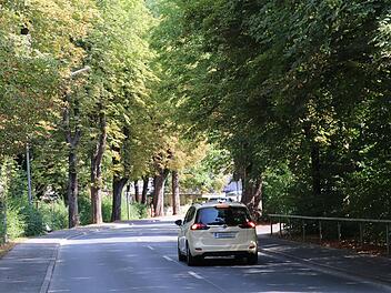 Auch an heißen Tagen ein leidlich angenehmer Ort: die Kastanienallee am Friedhofsberg.  Fotos: Katrin Geyer
