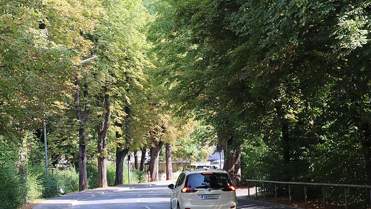Auch an heißen Tagen ein leidlich angenehmer Ort: die Kastanienallee am Friedhofsberg.  Fotos: Katrin Geyer