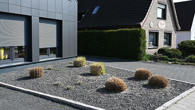 Immerhin einige Pflanzen ragen aus einem Vorgarten mit grauen und schwarzen Kieselsteinen in Bremen.